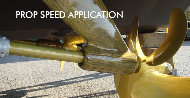 Marsa Alam underawter close up